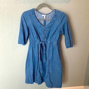 Ingrid and Isabel Denim Maternity Dress